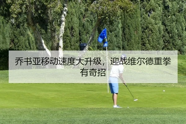 乔书亚移动速度大升级，迎战维尔德重拳有奇招
